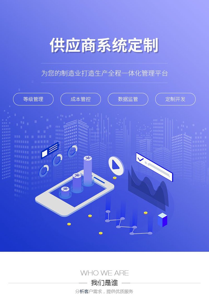 定制管理系统：企业数字化转型的新钥匙